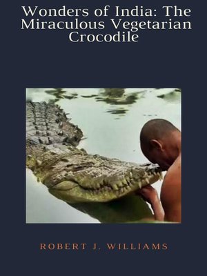 cover image of Wonders of India